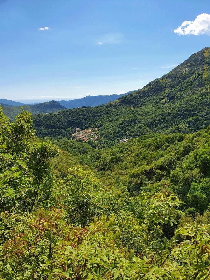 Il Bosco Di Campo Marzano Garden Apartments Borzonasca Eksteriør billede