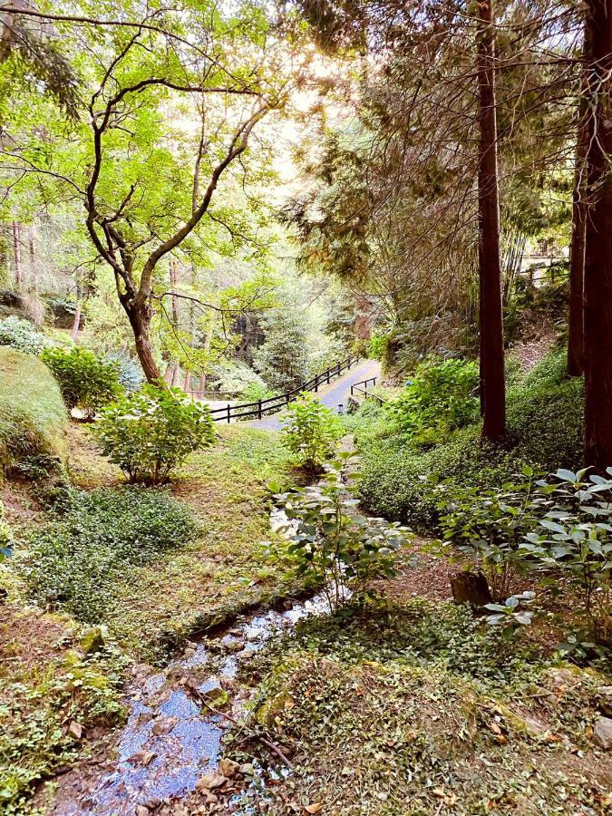Il Bosco Di Campo Marzano Garden Apartments Borzonasca Eksteriør billede