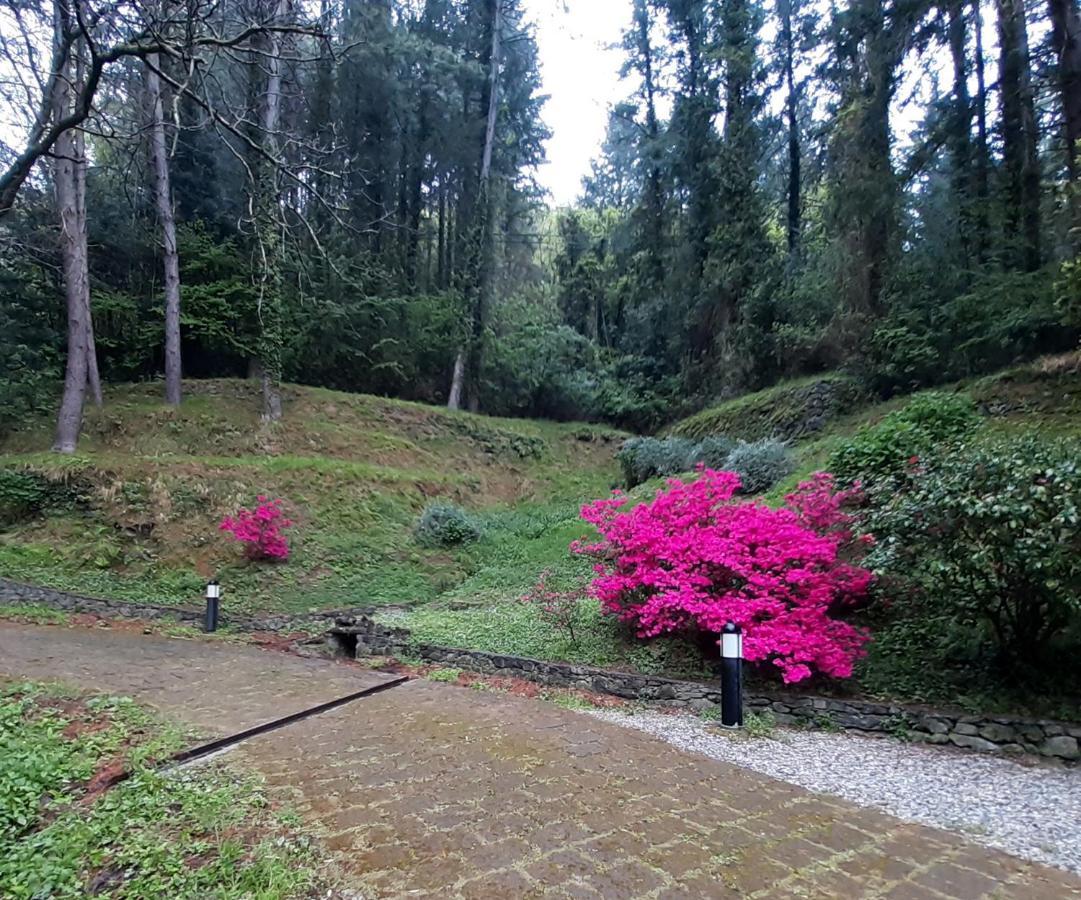 Il Bosco Di Campo Marzano Garden Apartments Borzonasca Eksteriør billede