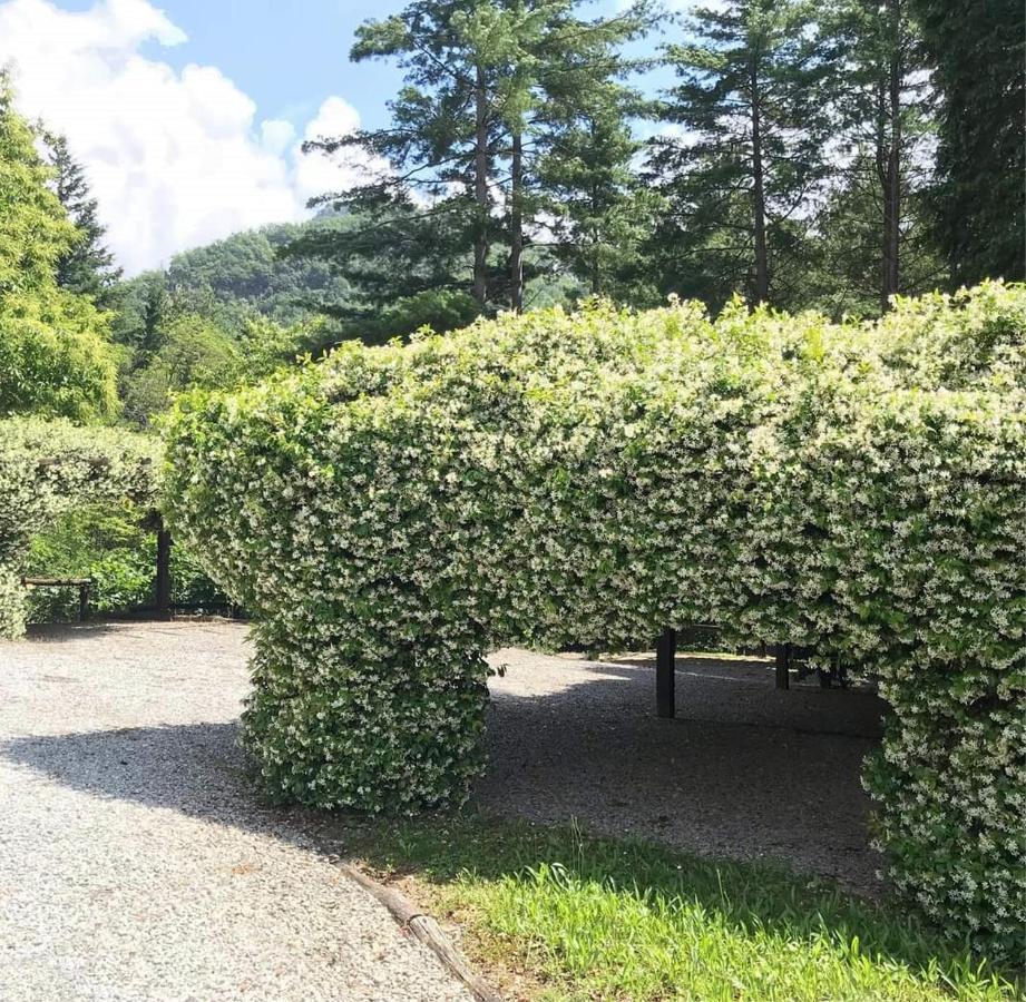 Il Bosco Di Campo Marzano Garden Apartments Borzonasca Eksteriør billede