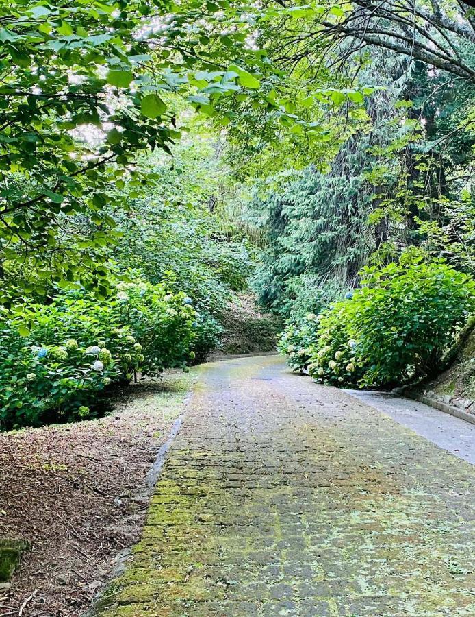 Il Bosco Di Campo Marzano Garden Apartments Borzonasca Eksteriør billede