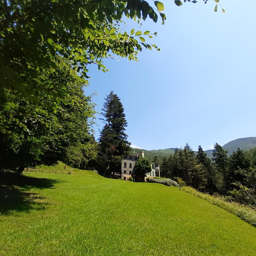Il Bosco Di Campo Marzano Garden Apartments Borzonasca Eksteriør billede