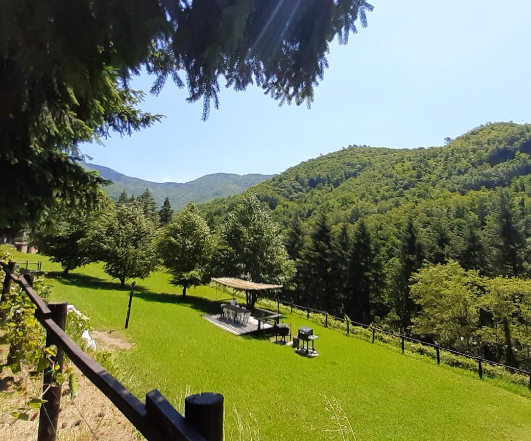 Il Bosco Di Campo Marzano Garden Apartments Borzonasca Eksteriør billede