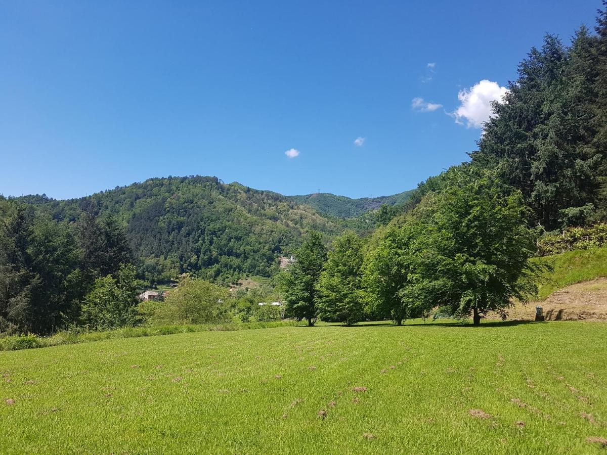 Il Bosco Di Campo Marzano Garden Apartments Borzonasca Eksteriør billede