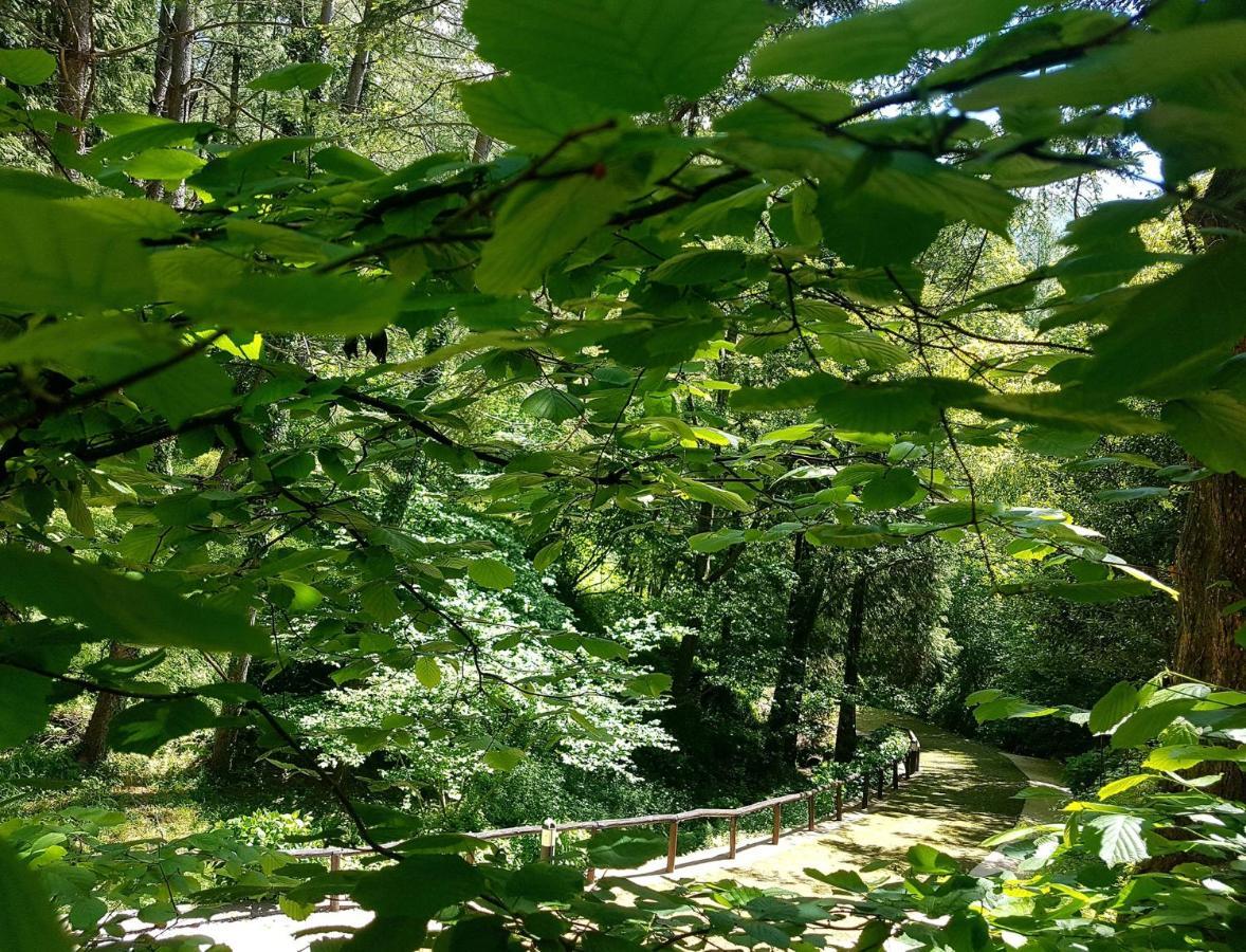 Il Bosco Di Campo Marzano Garden Apartments Borzonasca Eksteriør billede