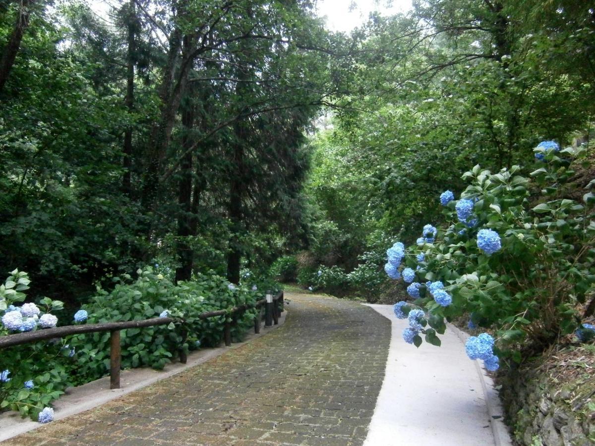 Il Bosco Di Campo Marzano Garden Apartments Borzonasca Eksteriør billede